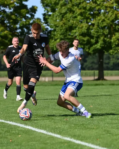 Szene aus dem Spiel 1. FC Heilsbronn – TSV Altenberg 2, Bild 3