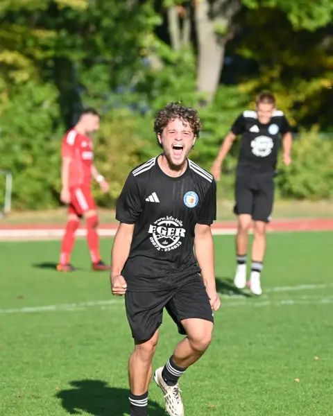 Szene aus dem Spiel FC Serbia Nürnberg – 1. FC Heilsbronn, Bild 6